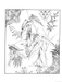 Creative Haven® Coloring Book: Floral Inspirations
