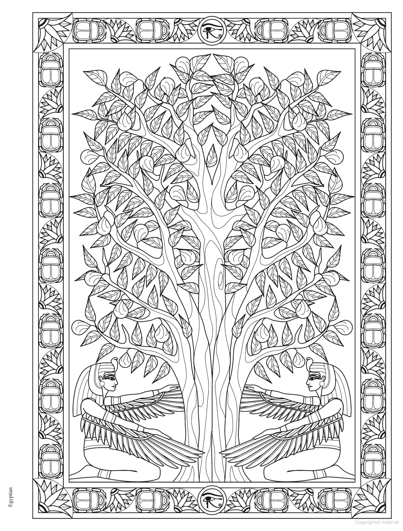 DVR Creative Haven® Coloring Book: Trees of Life