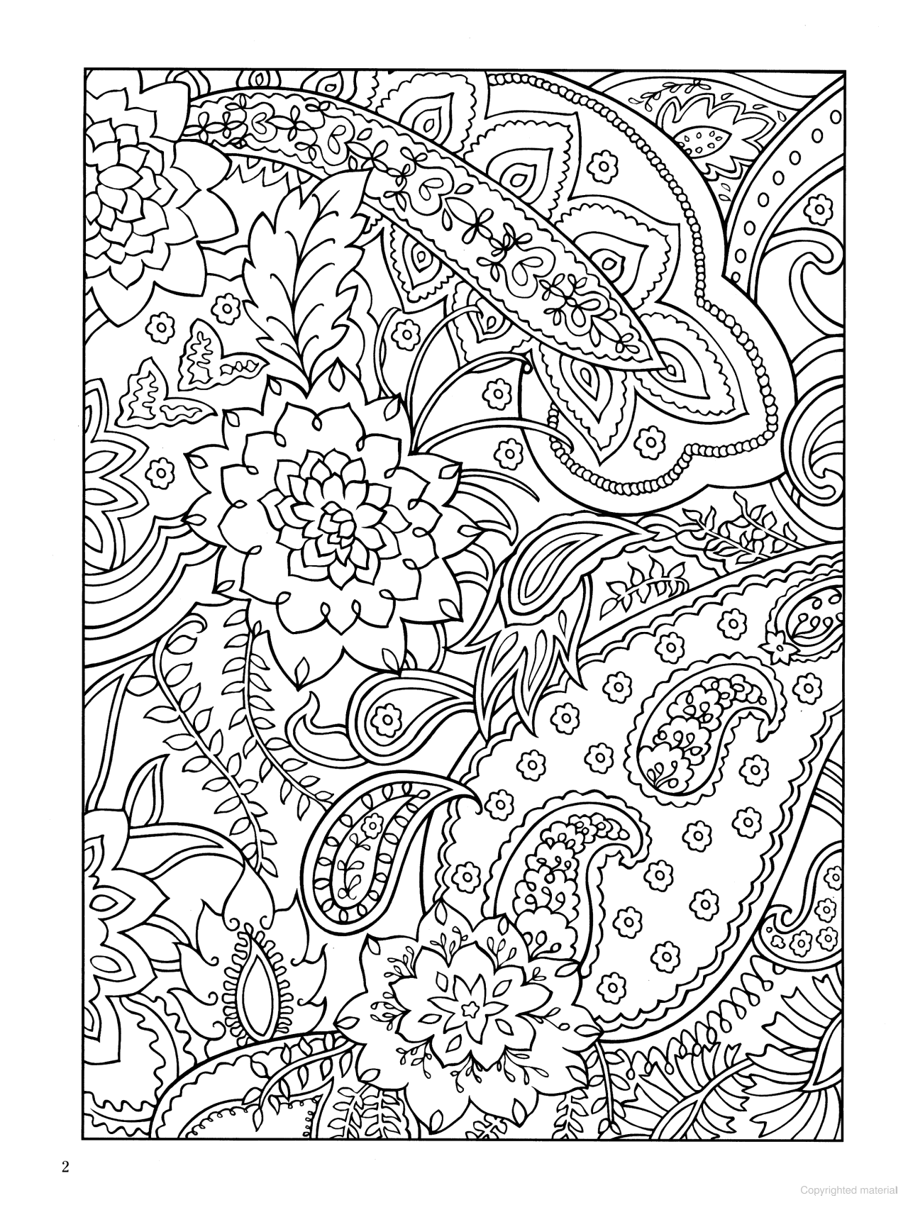 DVR Paisley Designs Coloring Book