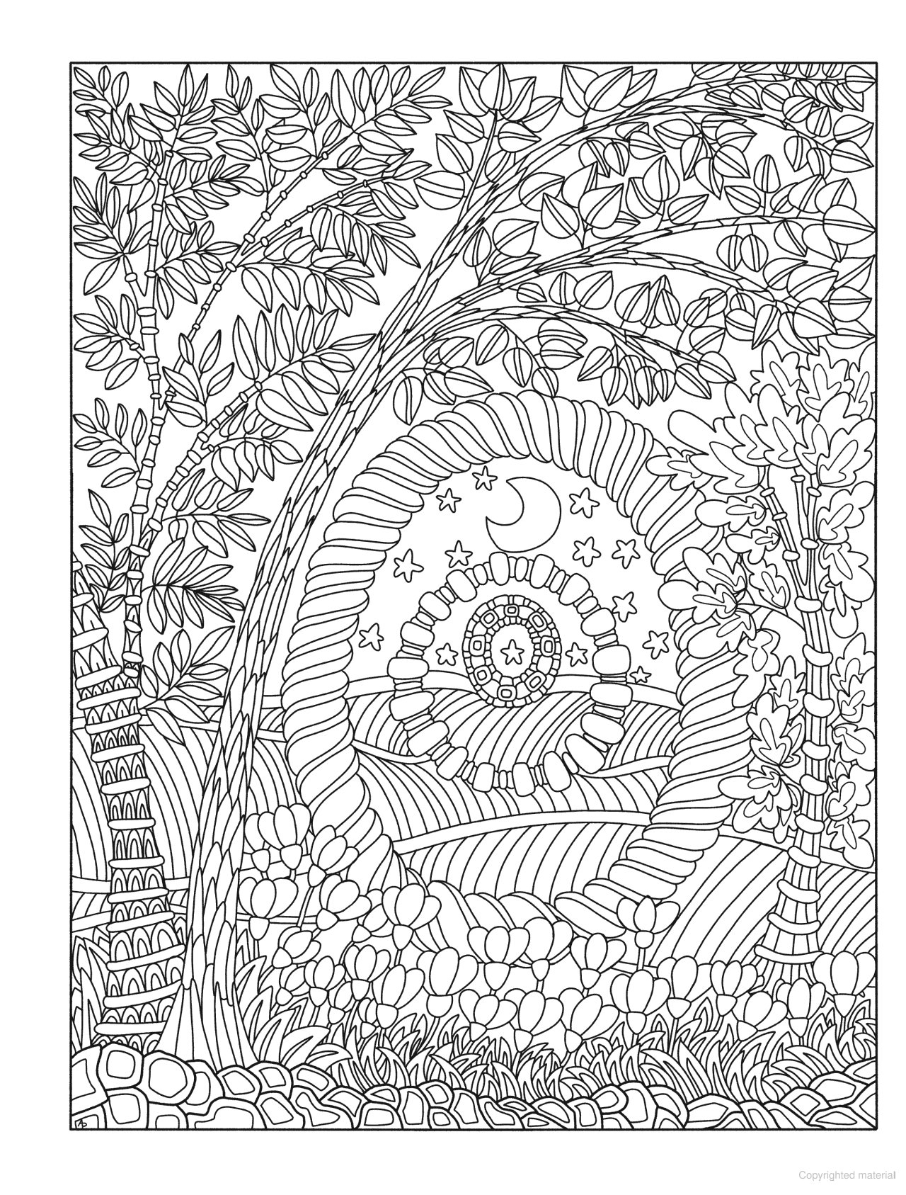 DVR Creative Haven® Coloring Book: Entangled Forest