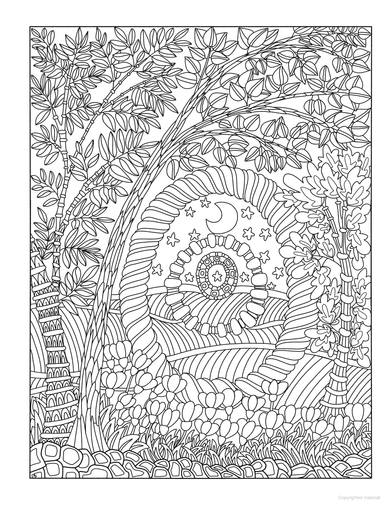 DVR Creative Haven® Coloring Book: Entangled Forest
