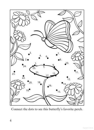 DVR Butterfly Fun Activity Book