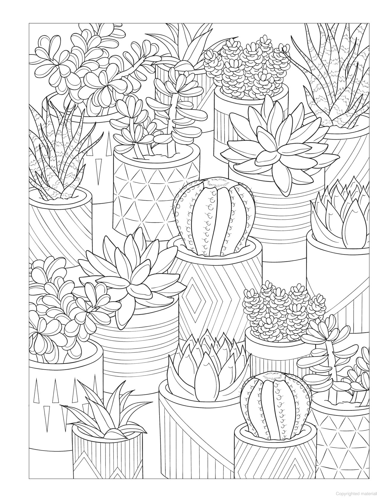 DVR Creative Haven® Coloring Book: Stunning Succulents