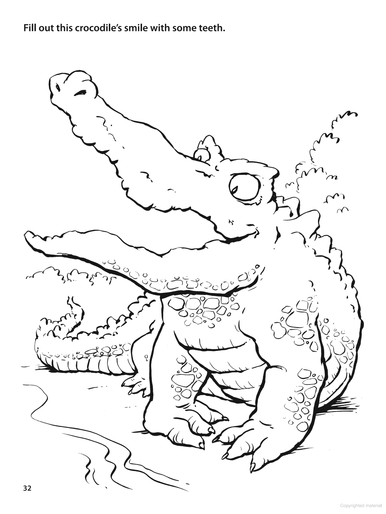 What to Doodle? Amazing Animals!