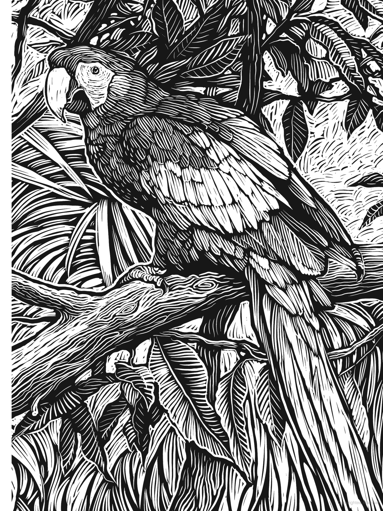 Creative Haven® Coloring Book: Woodcut Designs