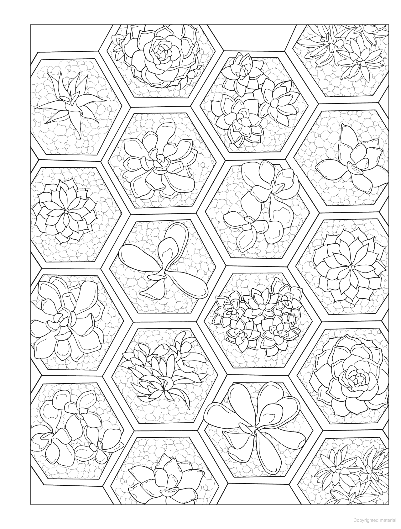 DVR Creative Haven® Coloring Book: Stunning Succulents