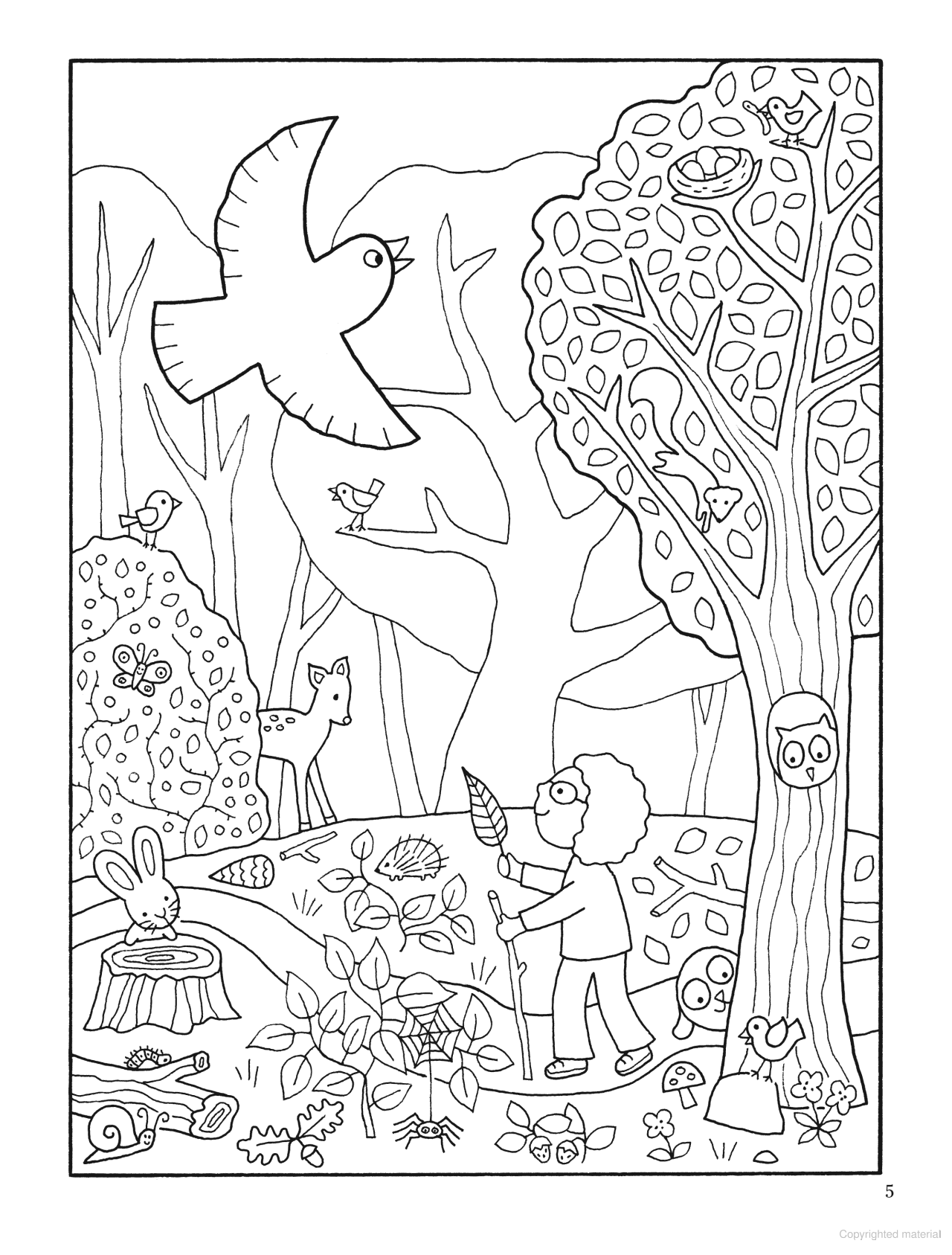 Color Your World: A Walk in the Woods