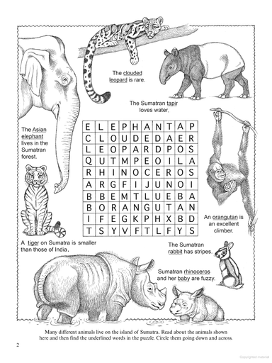 DVR Wild Animals Activity Book