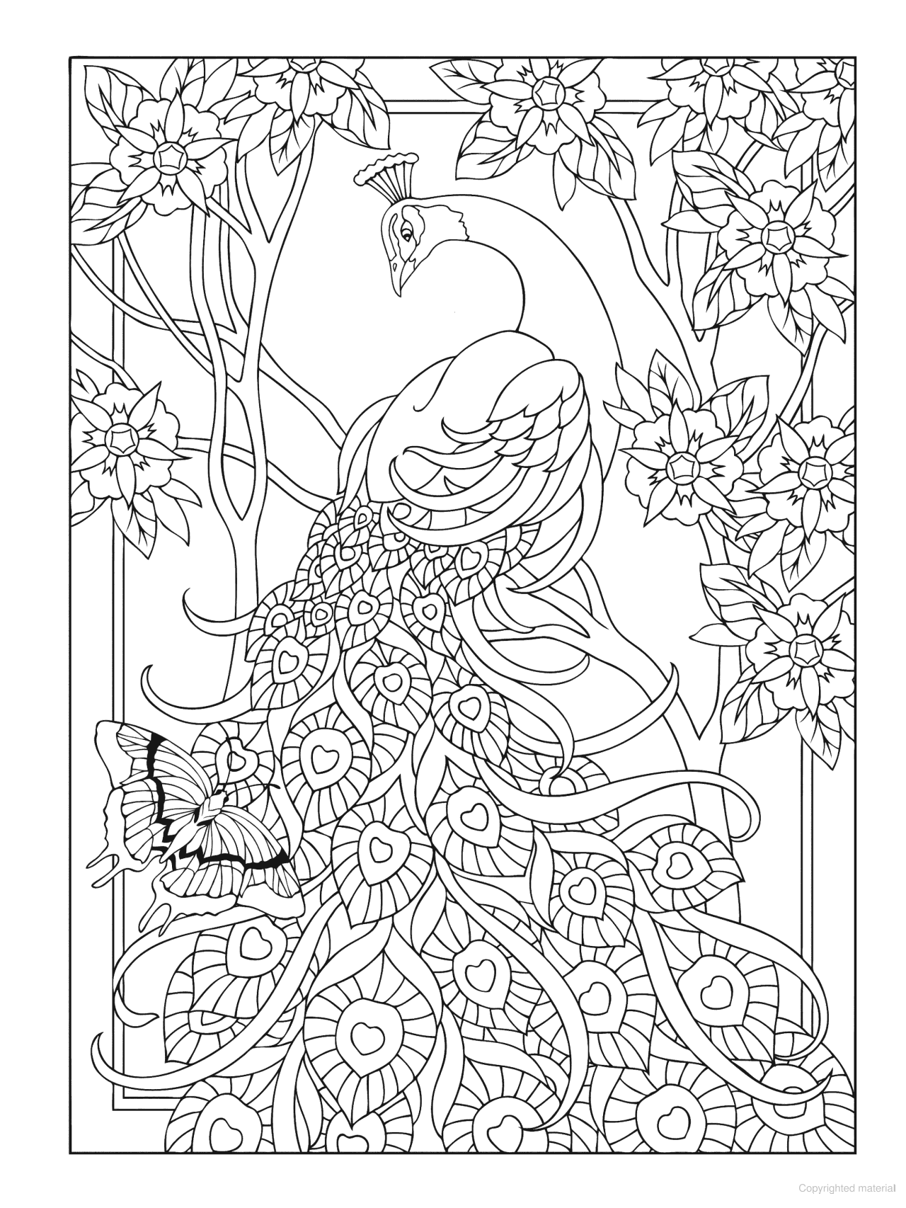 DVR Creative Haven® Coloring Book: Peacock Designs