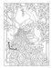DVR Creative Haven® Coloring Book: Peacock Designs
