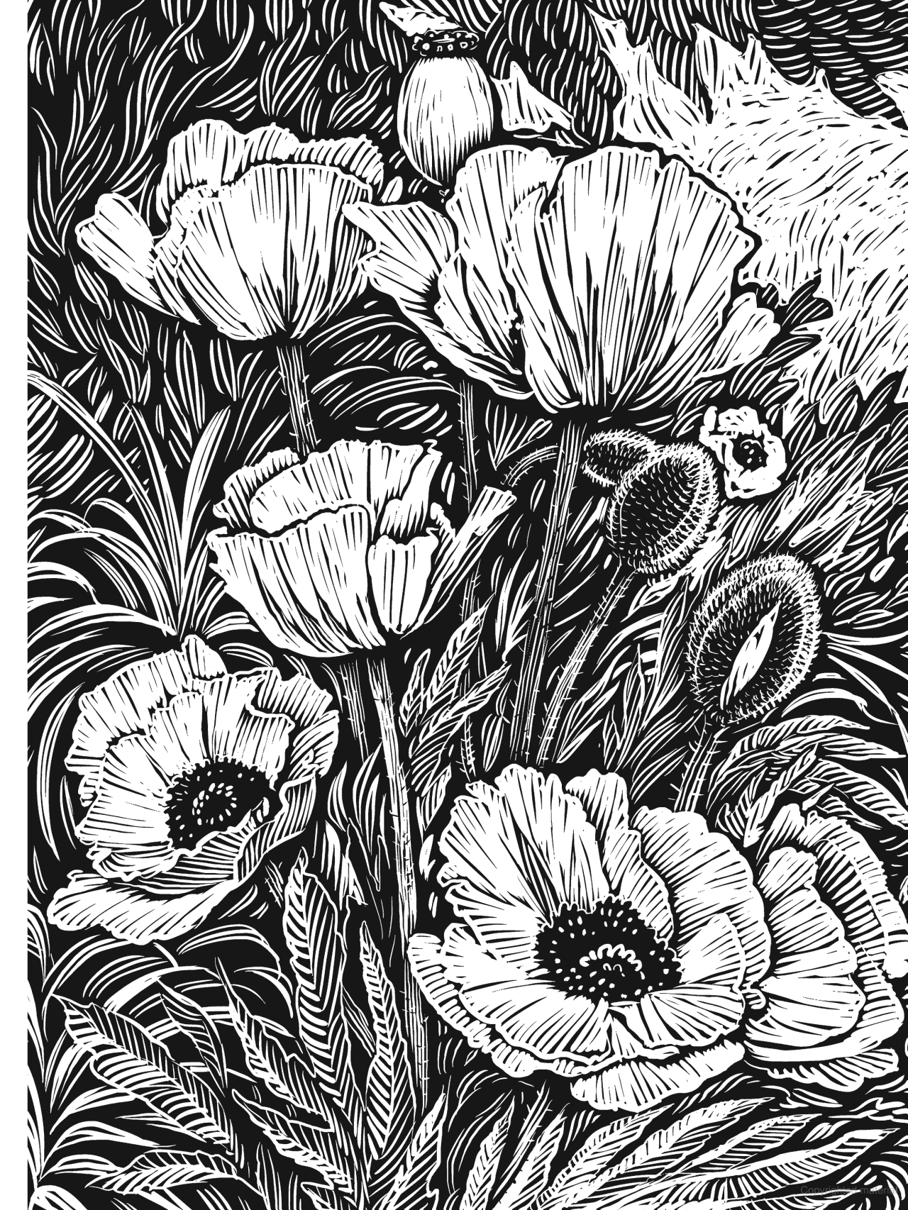 Creative Haven® Coloring Book: Woodcut Designs
