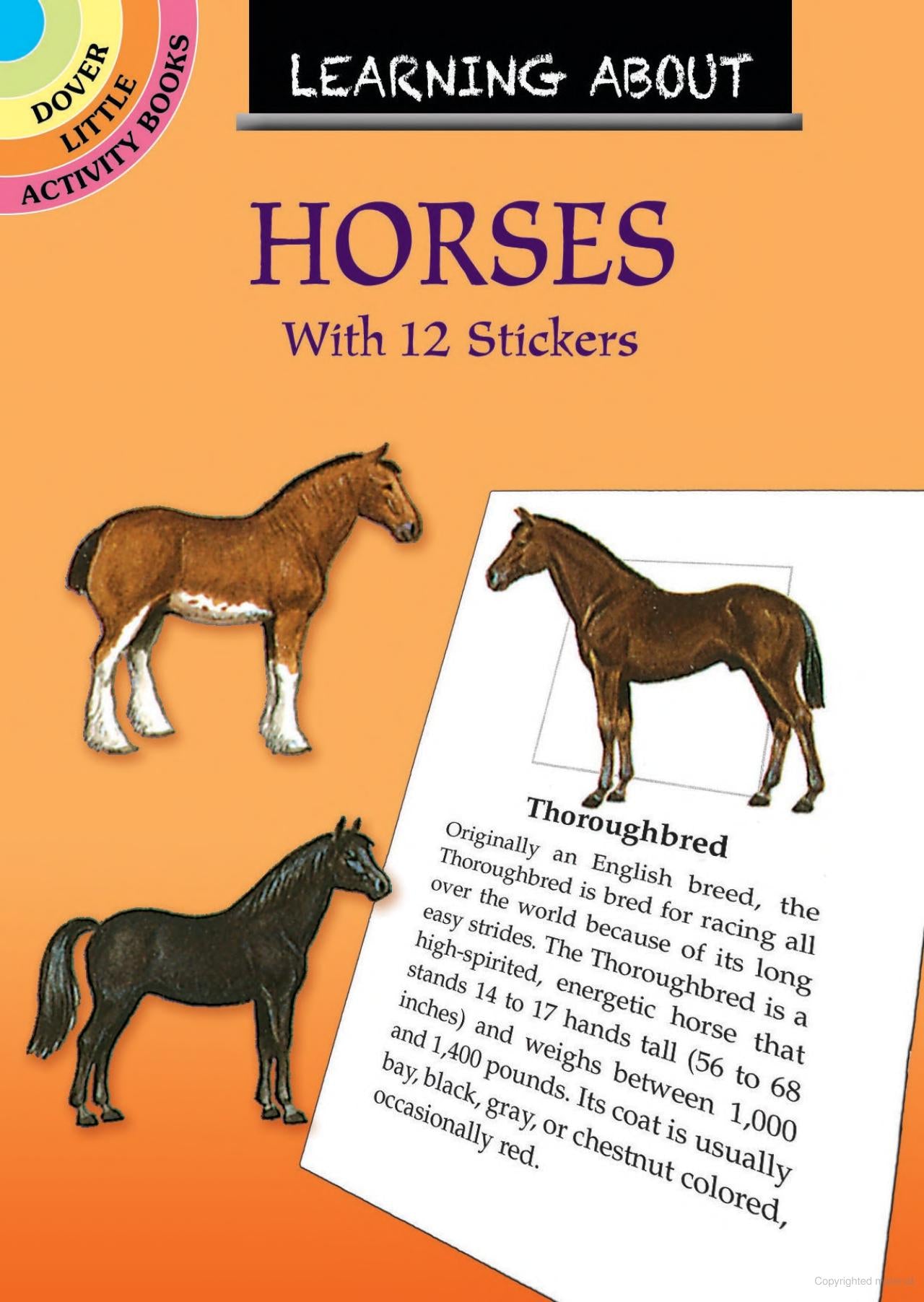 DV Learn About Horses Sticker Activity Book