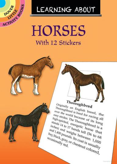DV Learn About Horses Sticker Activity Book