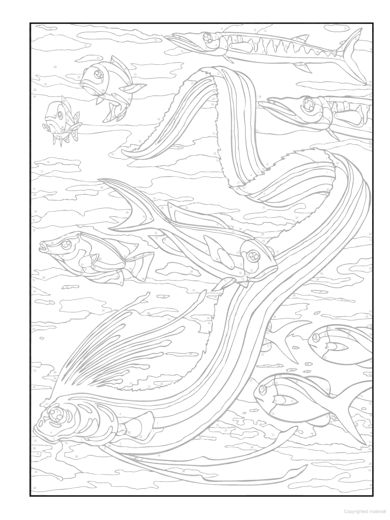 DVR Creative Haven® Color-By-Number: Sea Life