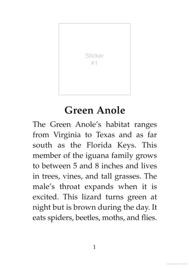 DVR Learning About Reptiles