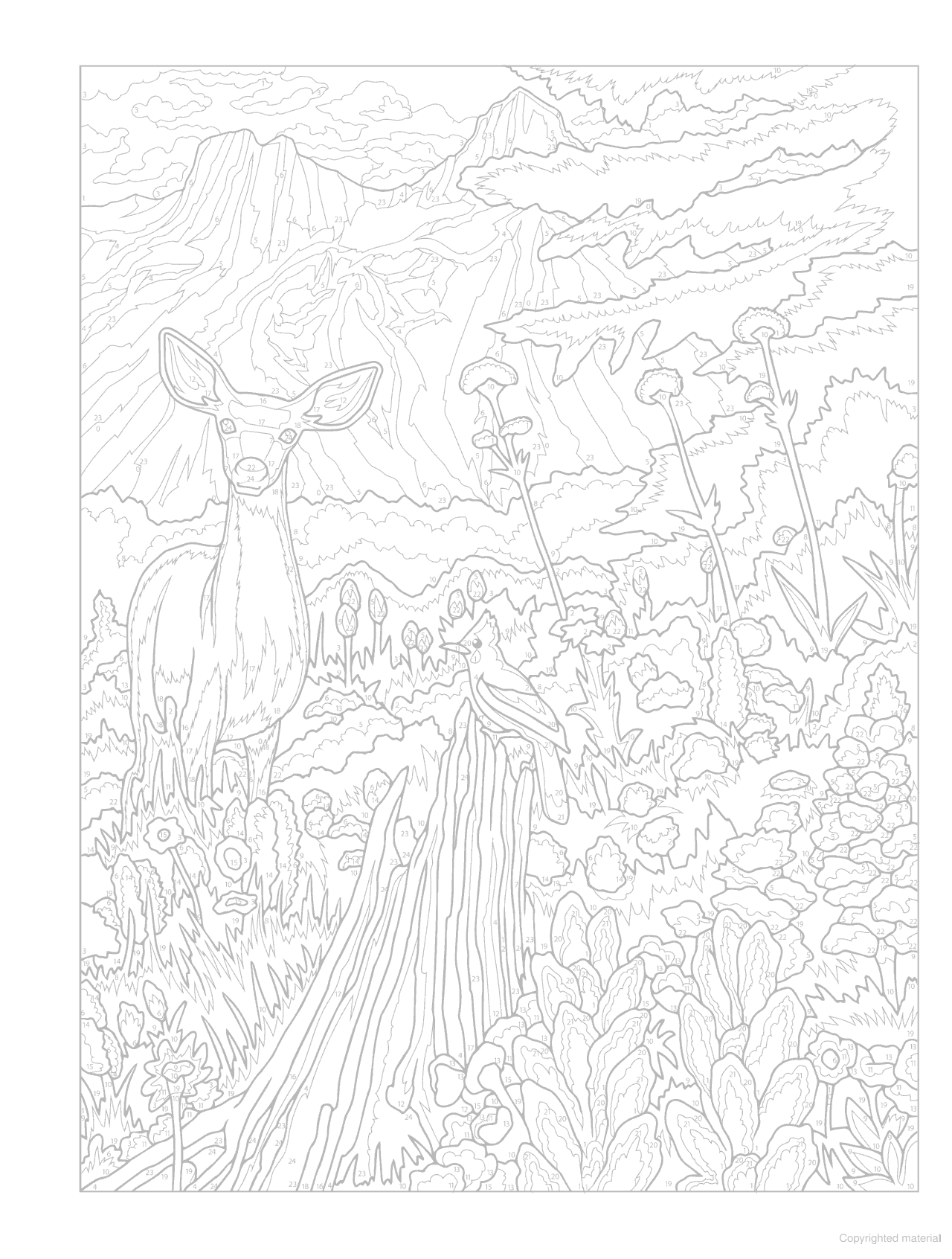 DVR Creative Haven® Color-by-Number: Endless Summer