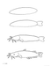 How to Draw Aquarium Animals