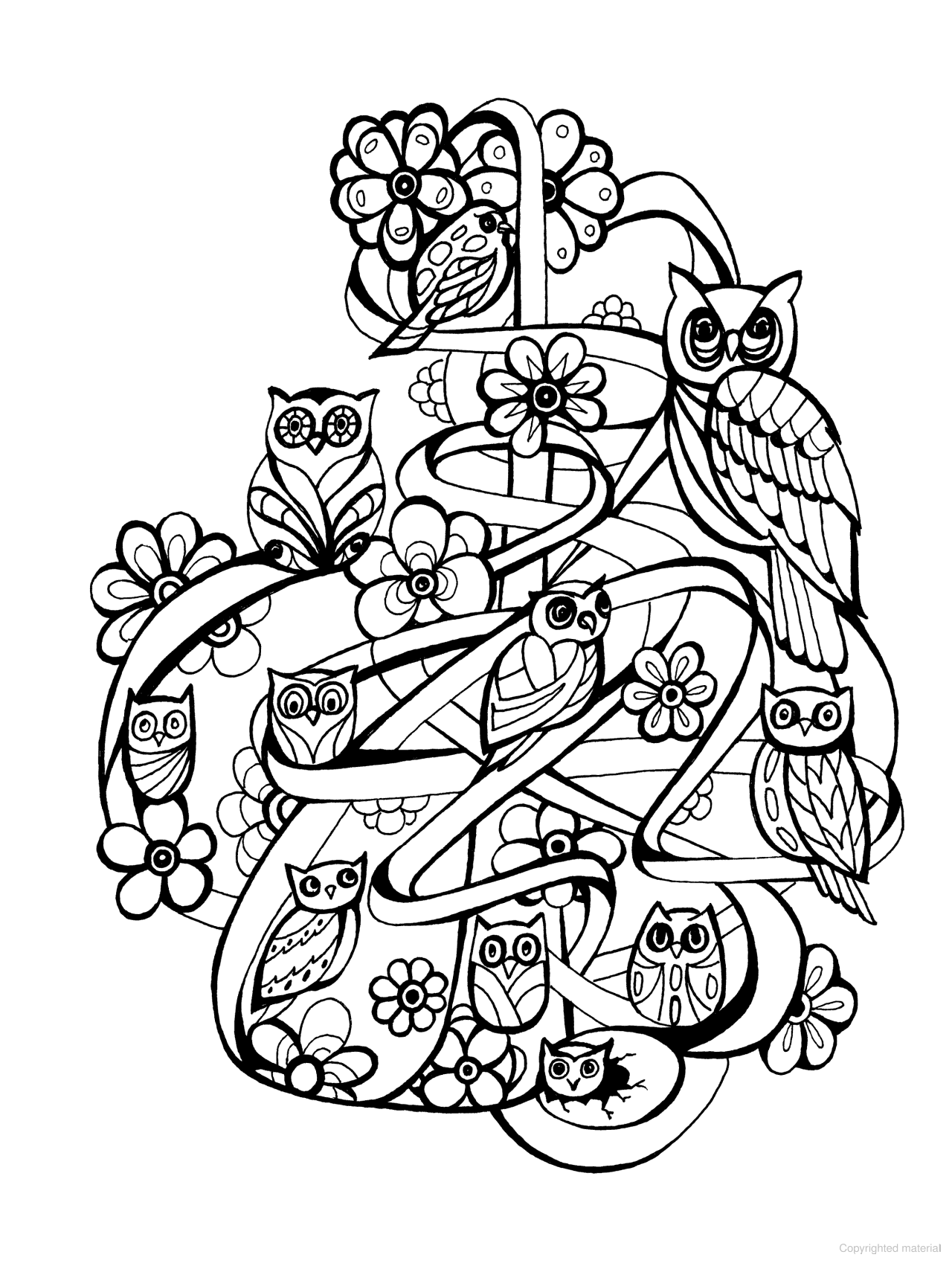 DVR Creative Haven® Coloring Book: Dream Birds