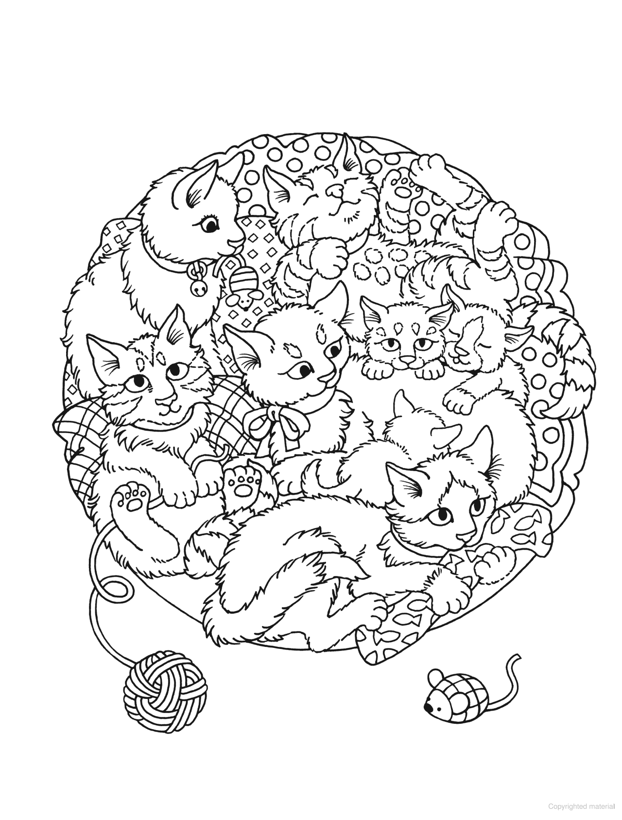 DVR Spark Coloring Book: Circles of Fun Animals