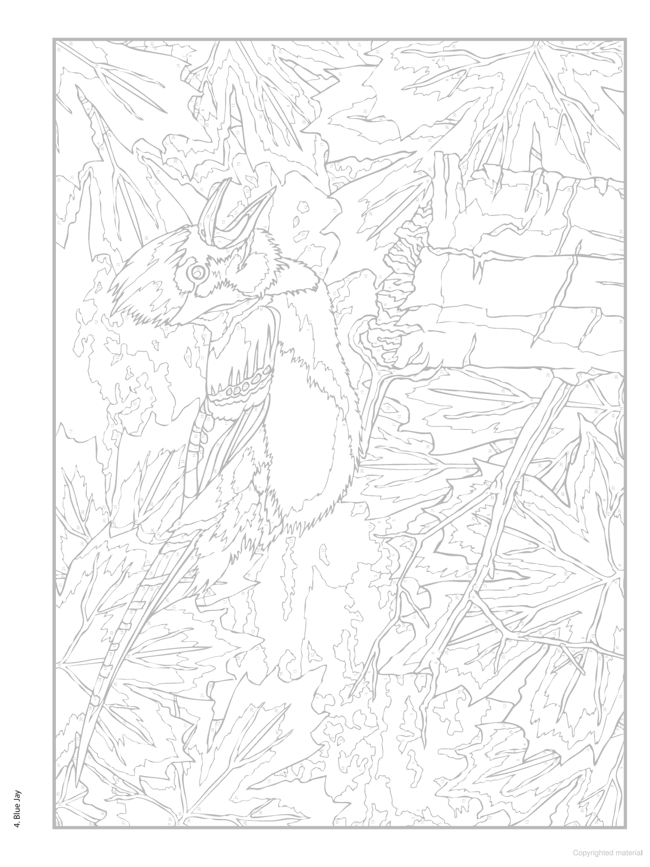 DVR Creative Haven® Color-By-Number: Birds