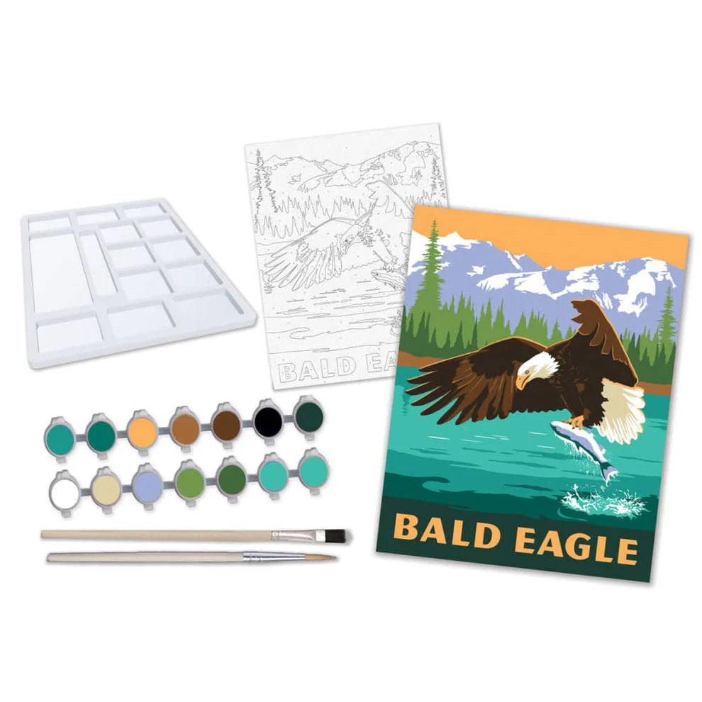 MSTR Eagle Paint-by-Number Kit
