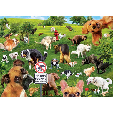 Super Dooper Poopers 1000 Piece Puzzle