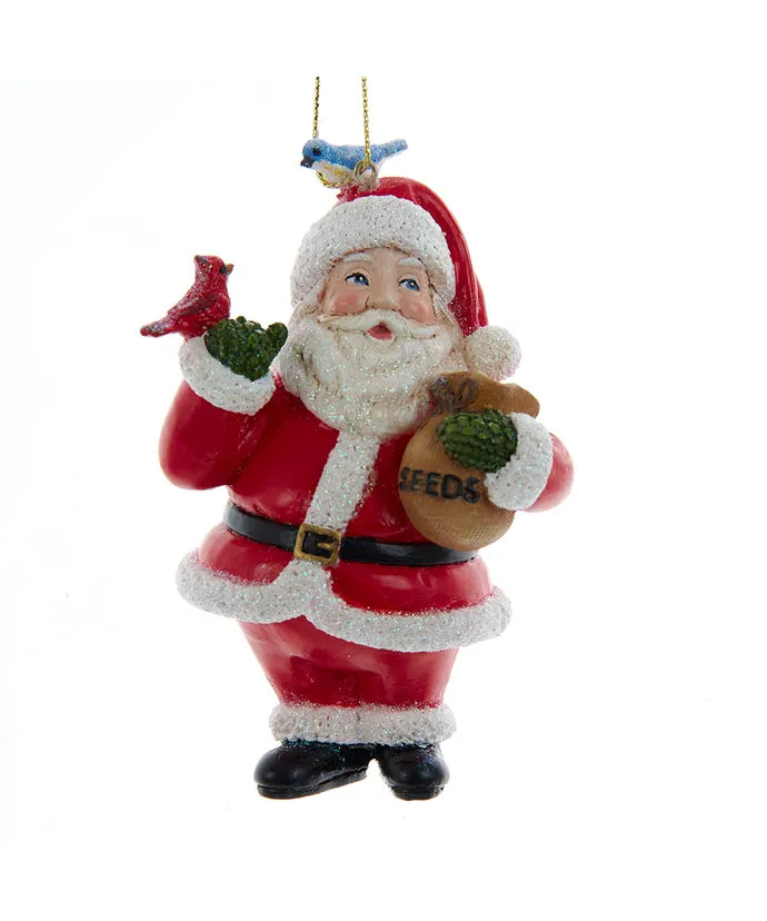 Santa With Birds Ornament
