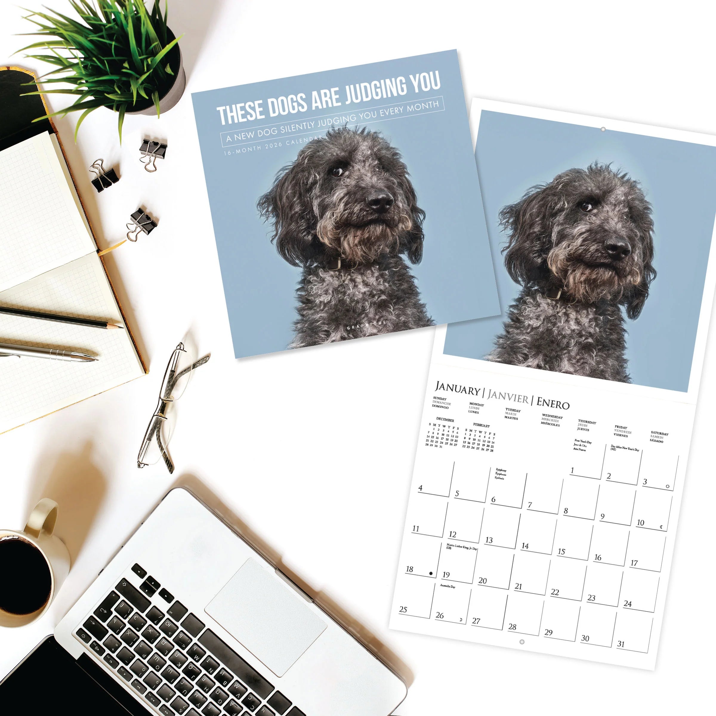 These Dogs Are Judging You 2026 Wall Calendar
