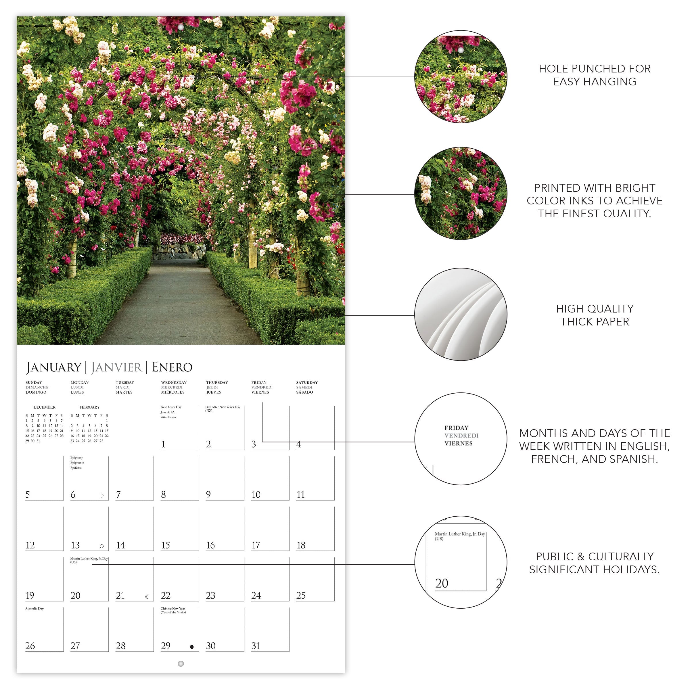 In The Garden 2025 Wall Calendar    