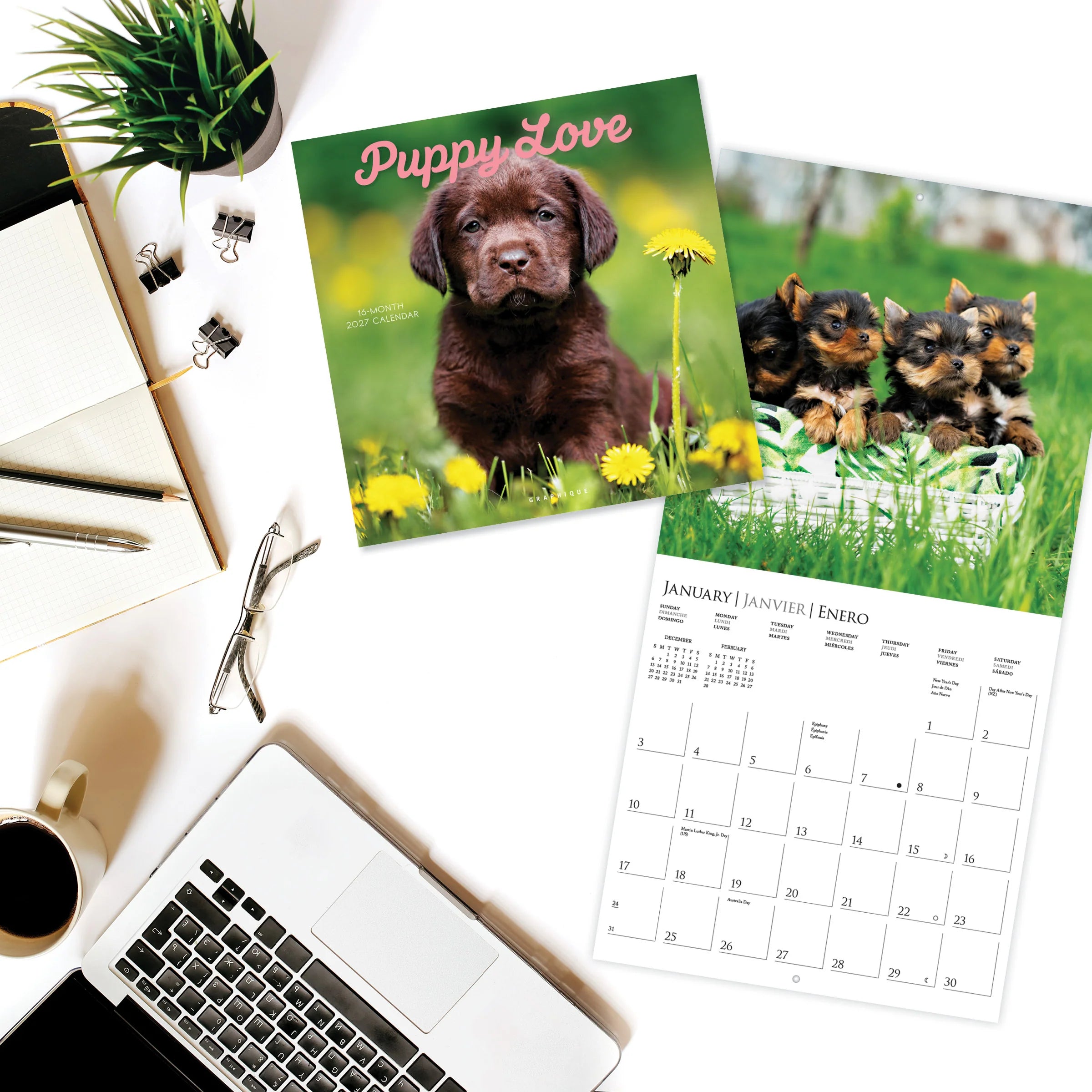 GRPH Puppy Love 2027 Wall Calendar