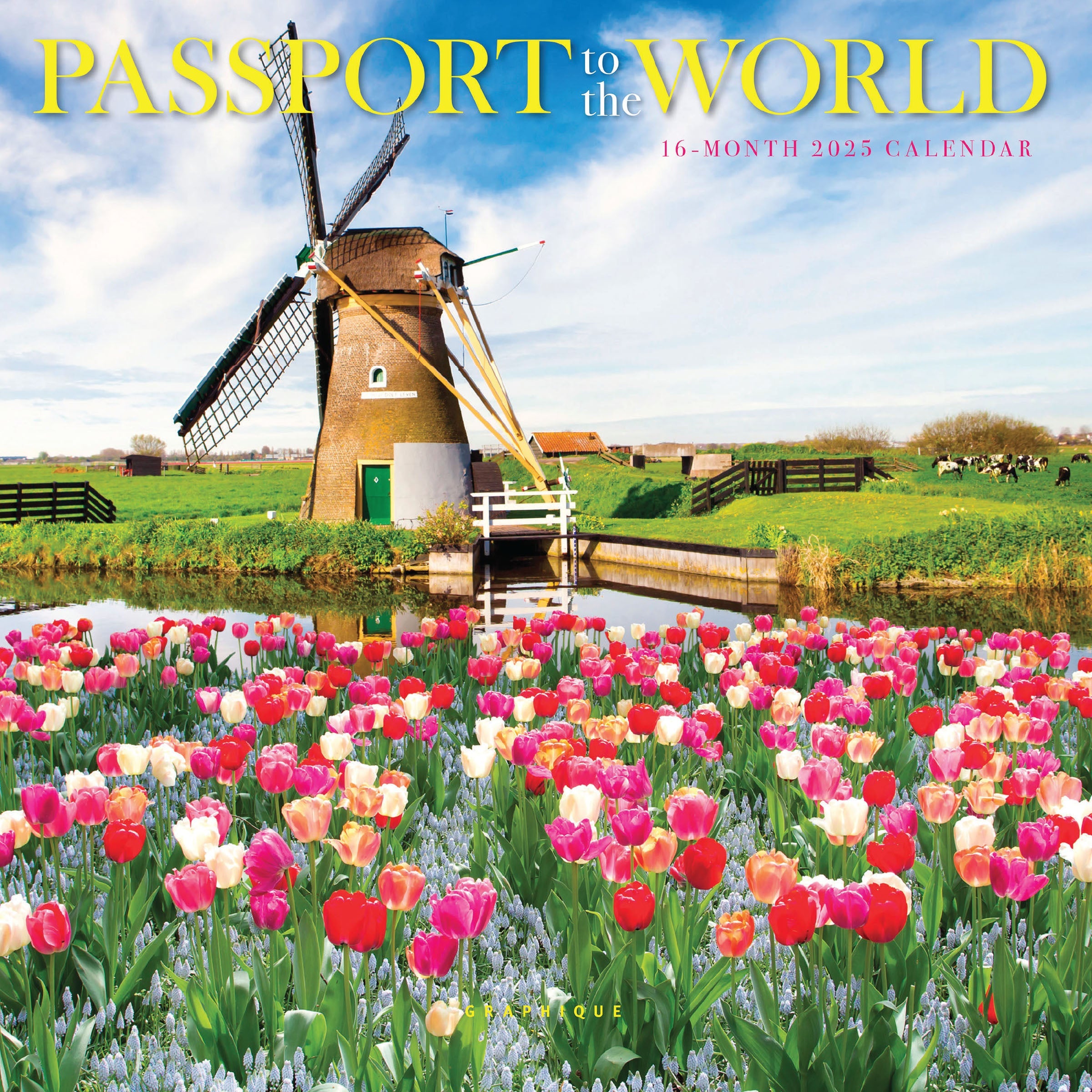 Passport To The World 2025 Mini Wall Calendar    