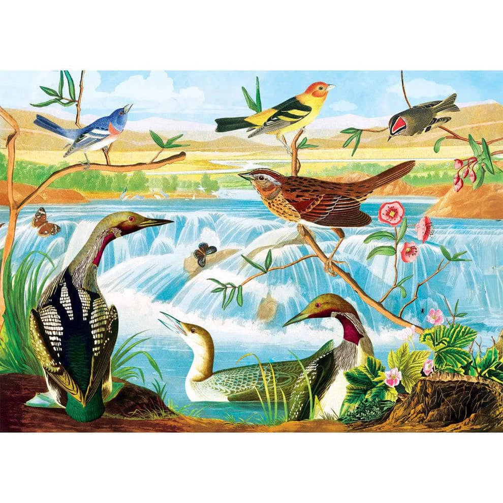 Harmony of Birds and Stream 1000 Piece Audubon Puzzle