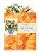 English Daffodils Pop Up Flower Bouquet Greeting Card    