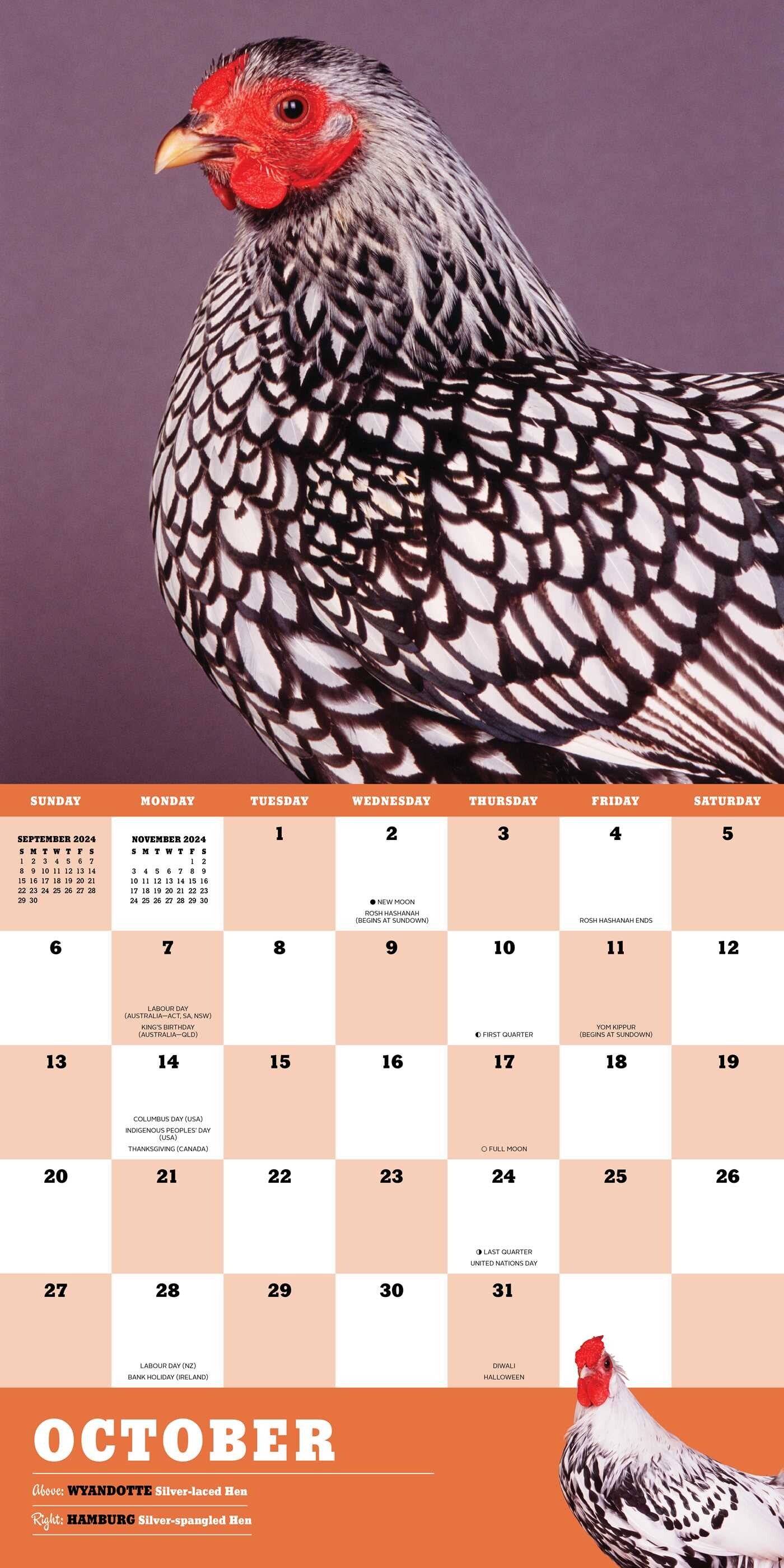 Extraordinary Chickens 2024 Wall Calendar    
