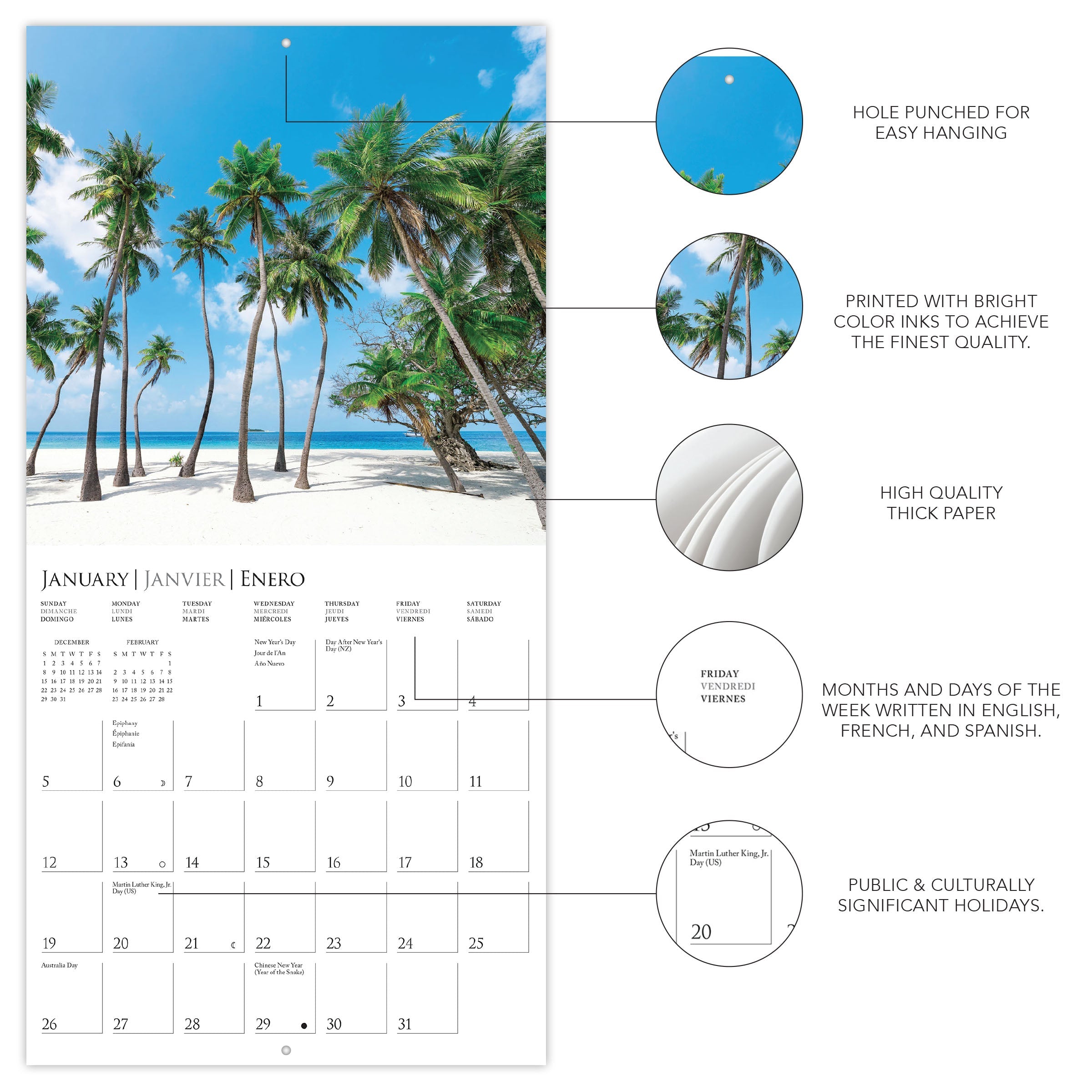 Island Paradise 2025 Mini Wall Calendar    