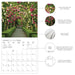 In The Garden 2026 Mini Wall Calendar