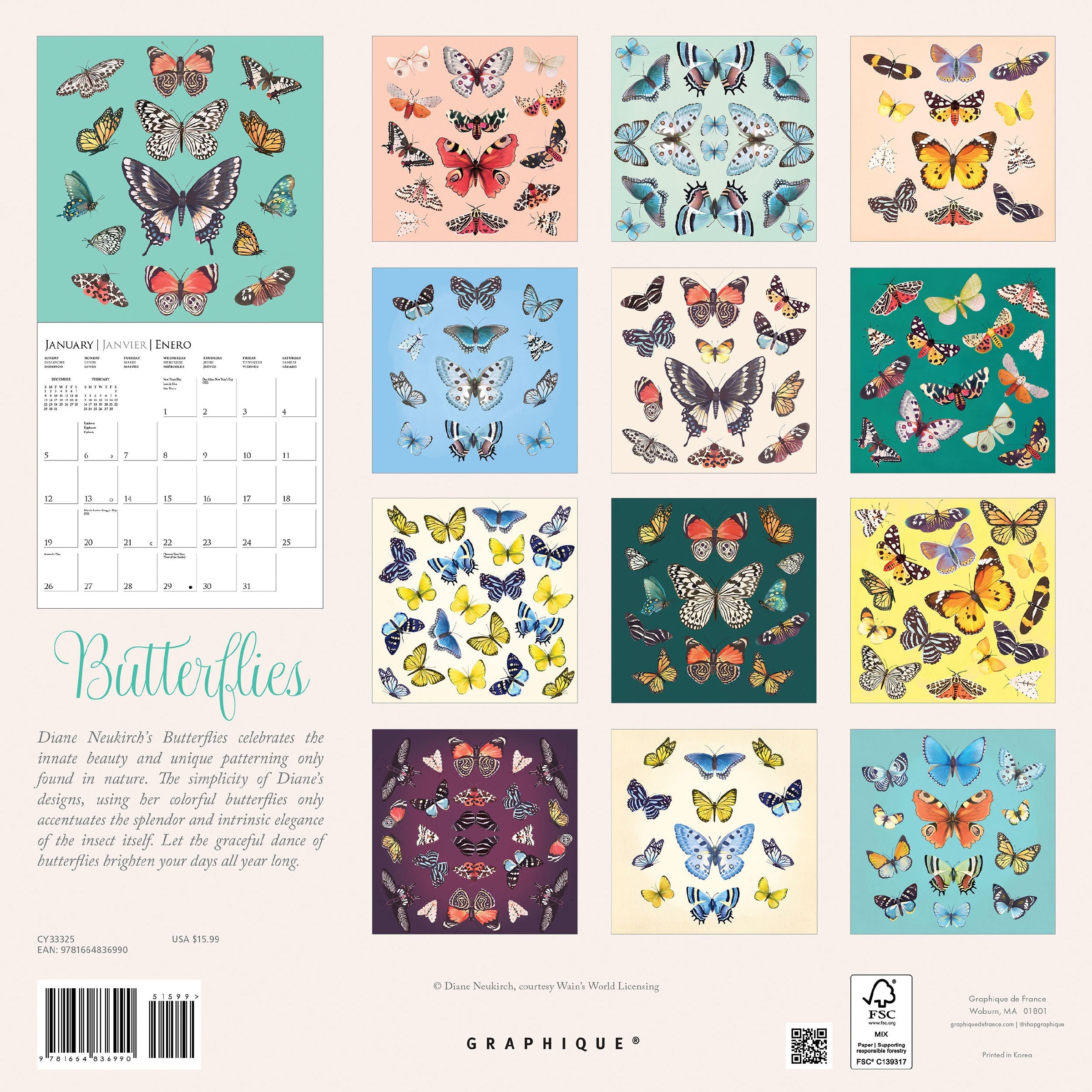 Butterflies 2025 Wall Calendar    