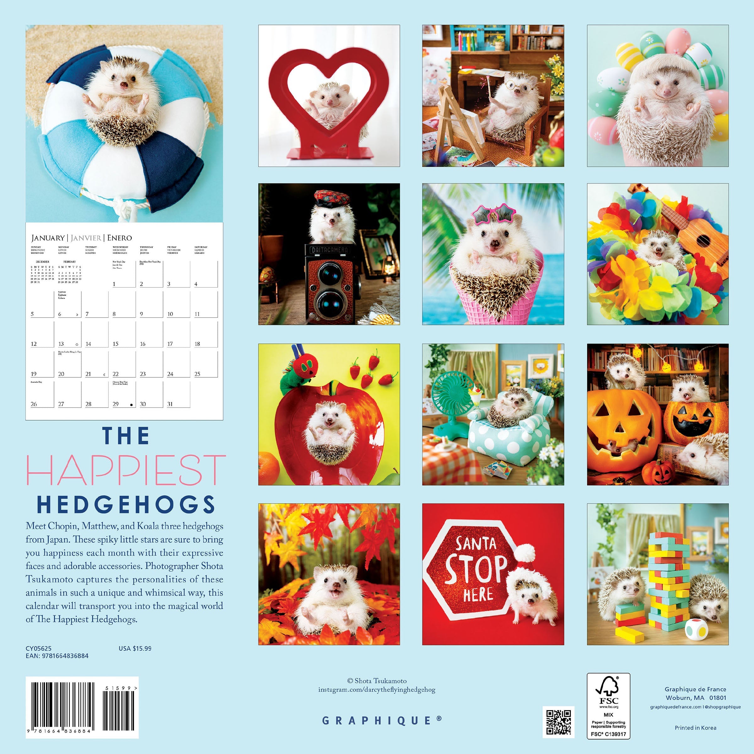 The Happiest Hedgehogs 2025 Wall Calendar    