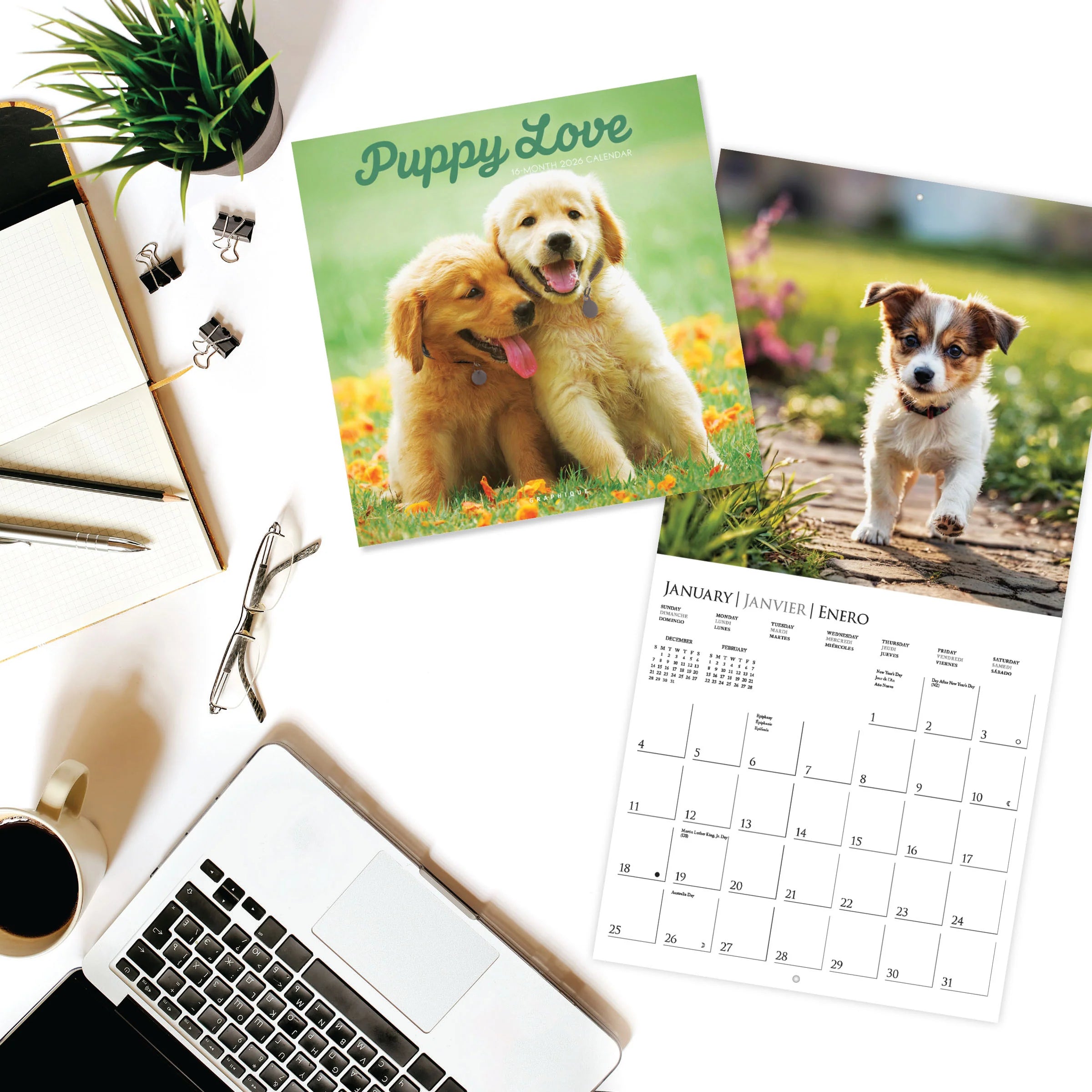 Puppy Love 2026 Wall Calendar