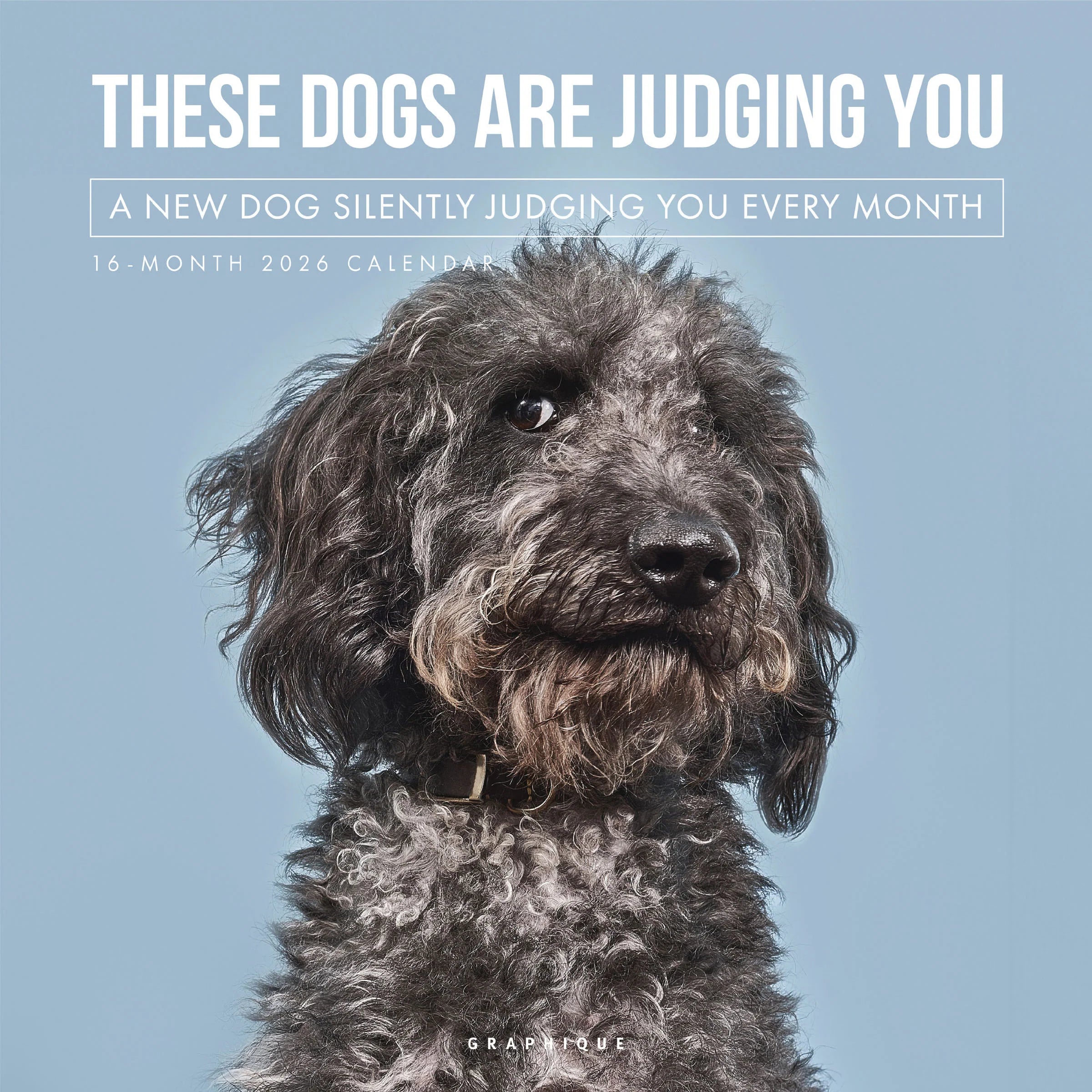 These Dogs Are Judging You 2026 Wall Calendar