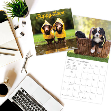 Puppy Love 2025 Wall Calendar    