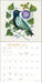 Feathered Friends by Genuine D Zlatkis 2025 Wall Calendar    