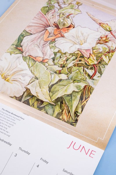 Flower Fairies Wall Calendar 2027