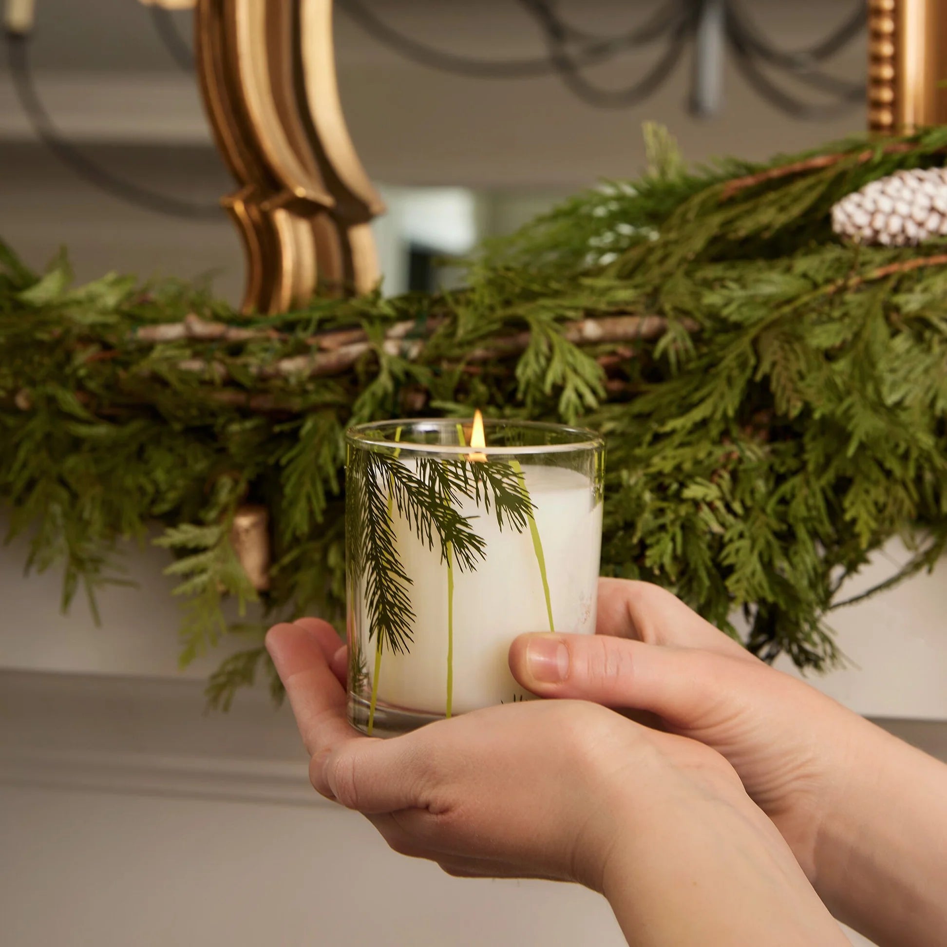 Thymes Frasier Fir Pine Needle Glass Candle