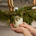 Thymes Frasier Fir Pine Needle Glass Candle
