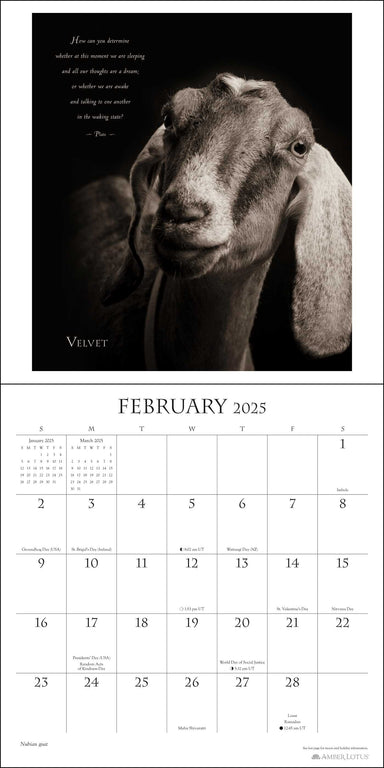 I Am Goat 2025 Wall Calendar    