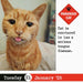 Bad Cat 2025 Page A Day Calendar    