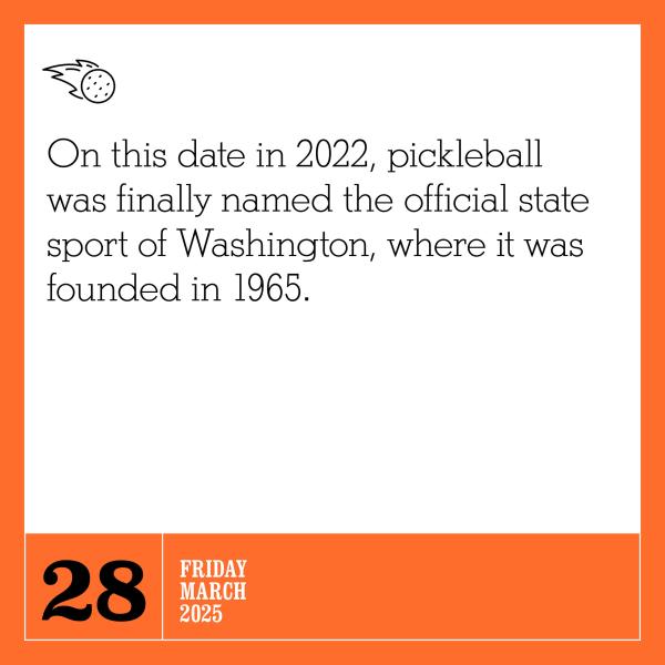 Pickleball Is Life 2025 Page A Day Calendar    