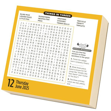 Brain Workout Word Search 2025 Page A Day Calendar    