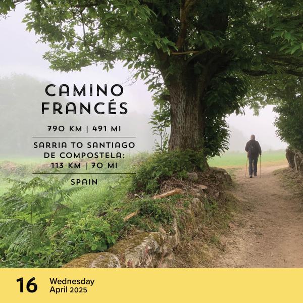 Walks of The World 2025 Page A Day Calendar    